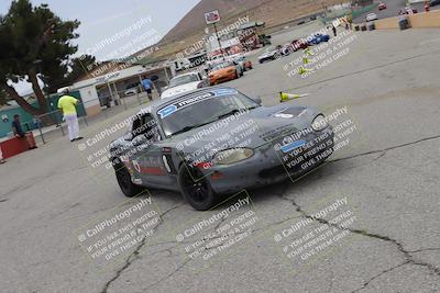 media/Jun-01-2025-CalClub SCCA (Sun) [[eae223c5dd]]/Around pit/